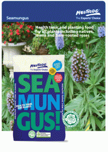 SeamungusBrochure